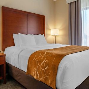 Queen Suite